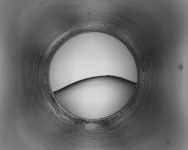 X0000116800400200912181122