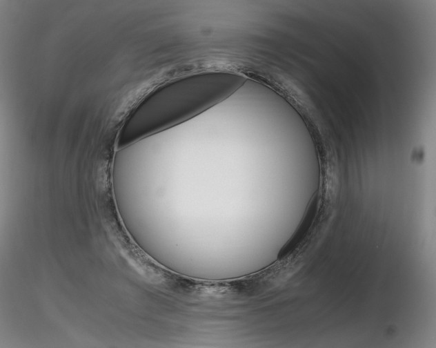X0000116800401200912181122