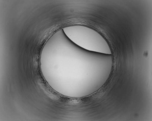 X0000116800402200912181122