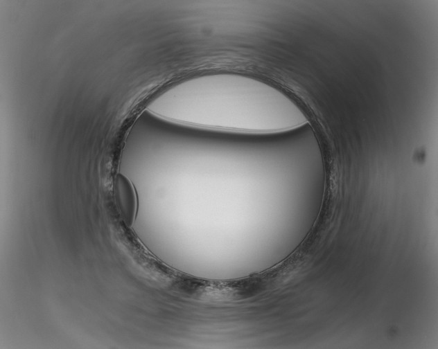 X0000116800403200912181122