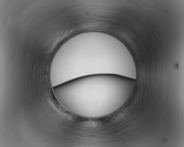 X0000116800404200912181122