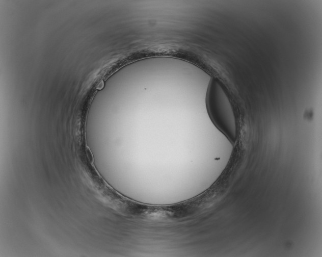 X0000116800407200912181122