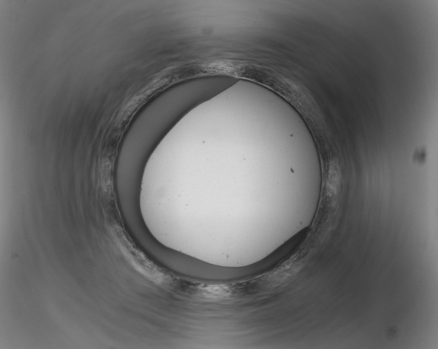 X0000116800409200912181122