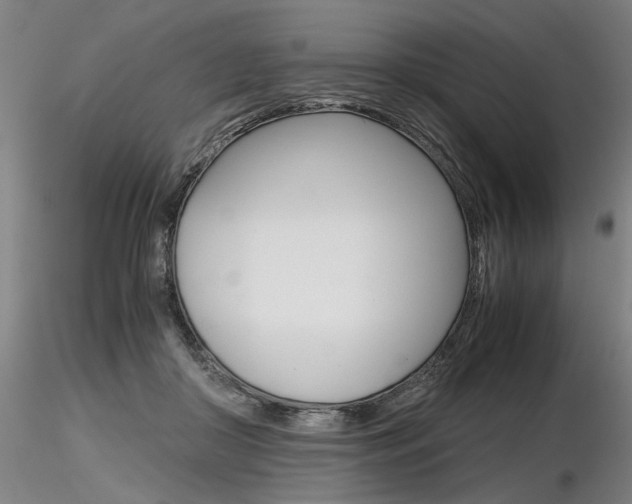 X0000116800410200912181122
