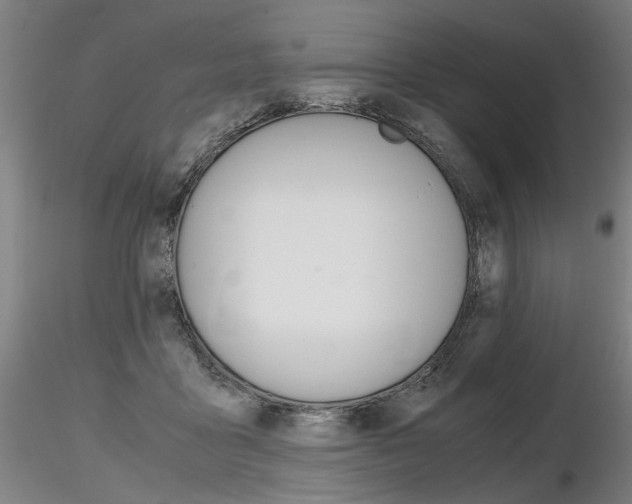 X0000116800411200912181122