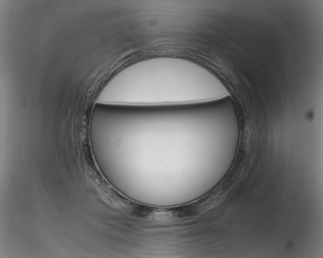 X0000116800413200912181122