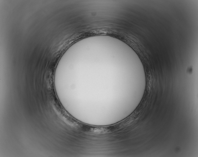 X0000116800414200912181122