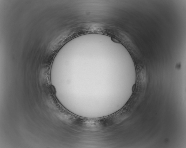X0000116800415200912181122
