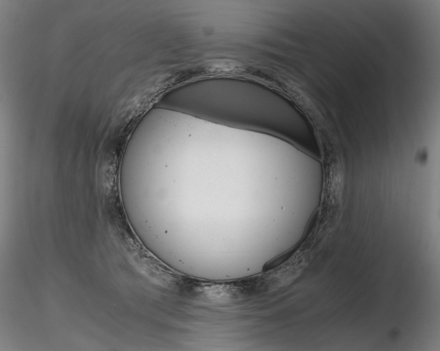 X0000116800417200912181122