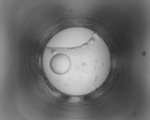 X0000116800418200912181122