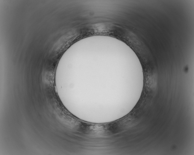 X0000116800419200912181122