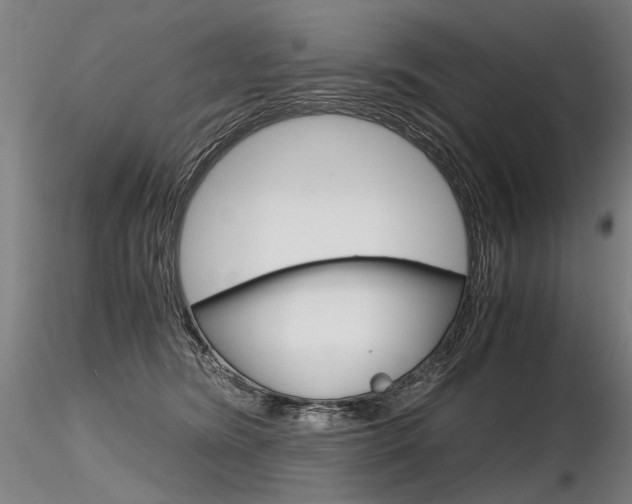 X0000116800420200912181122