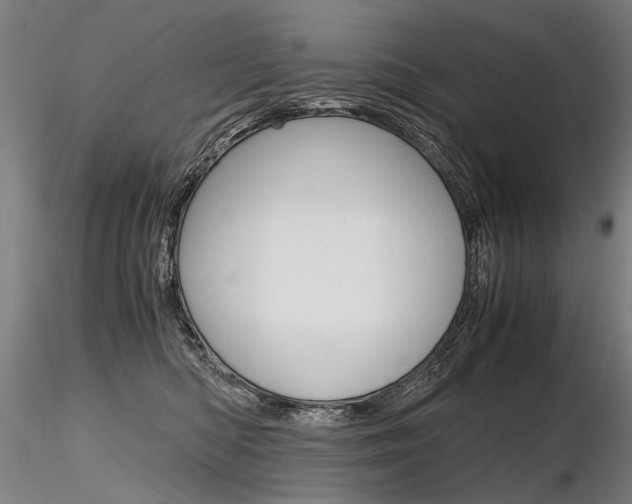 X0000116800422200912181122