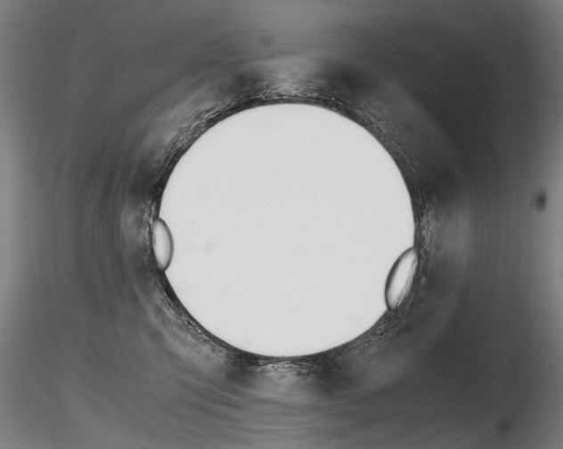 X0000116800423200912181122