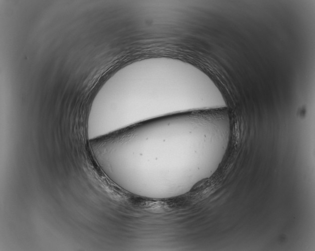 X0000116800424200912181122