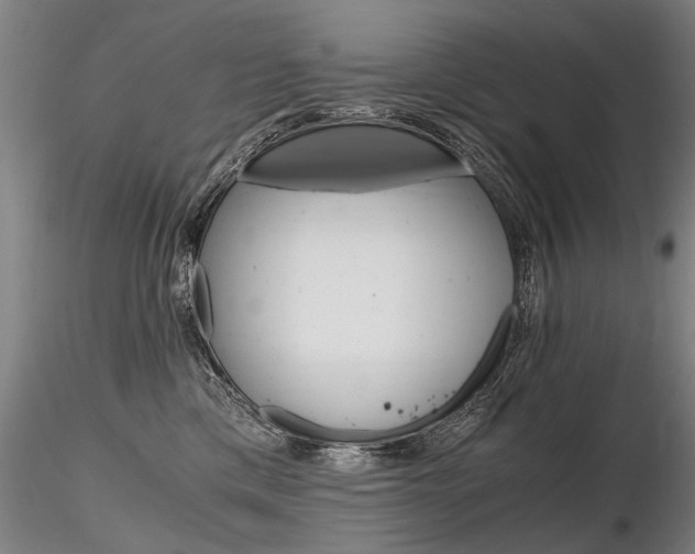 X0000116800425200912181122