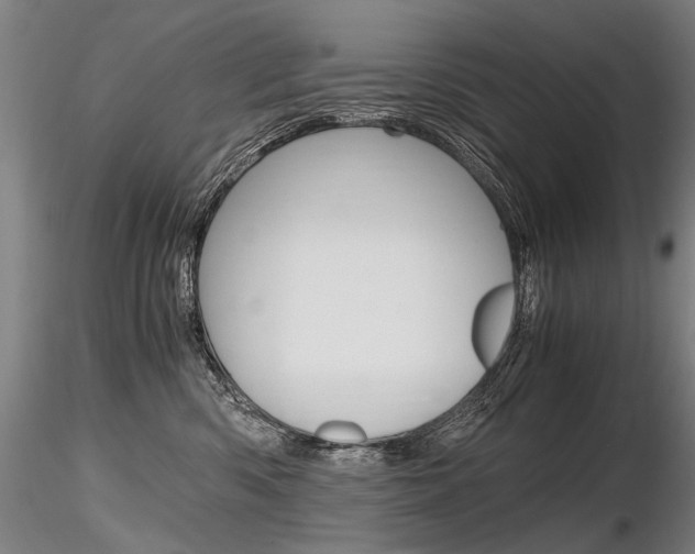 X0000116800426200912181122