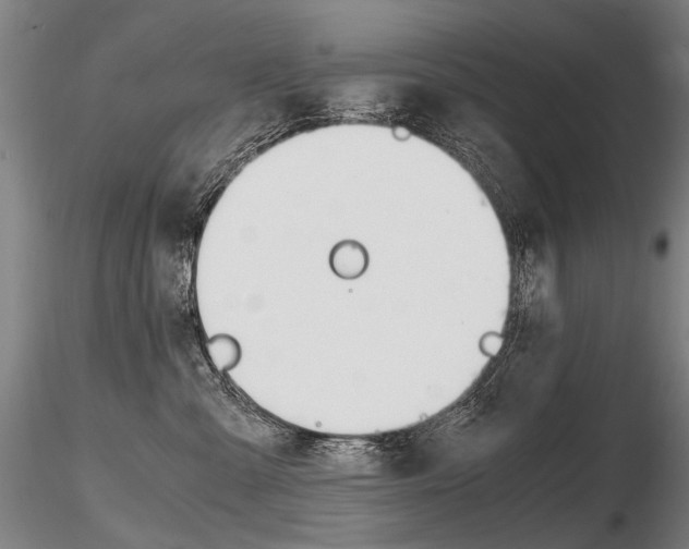 X0000116800427200912181122