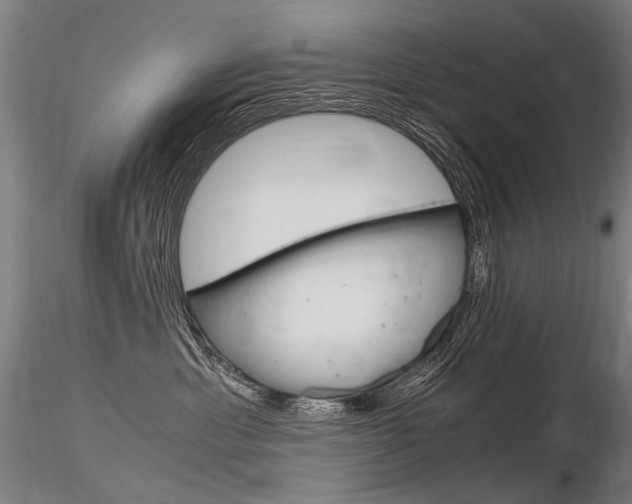 X0000116800429200912181122