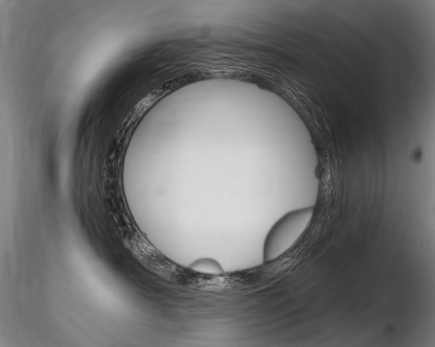 X0000116800430200912181122