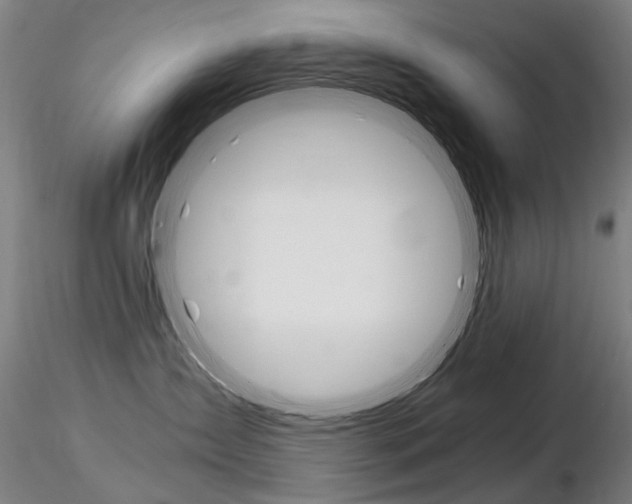 X0000116800431200912181122