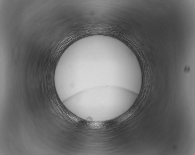 X0000116800432200912181122