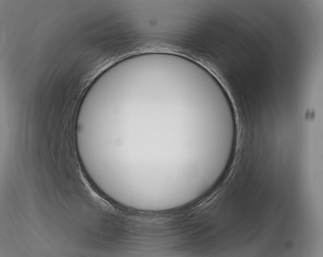 X0000116800433200912181121