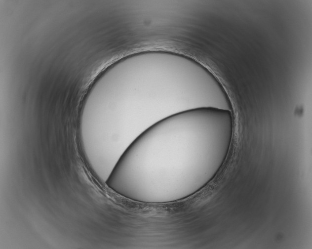 X0000116800434200912181121
