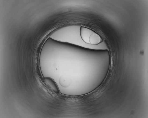X0000116800435200912181121