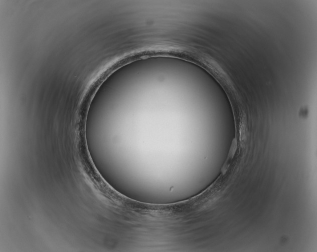 X0000116800436200912181121