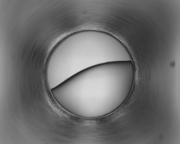 X0000116800438200912181121