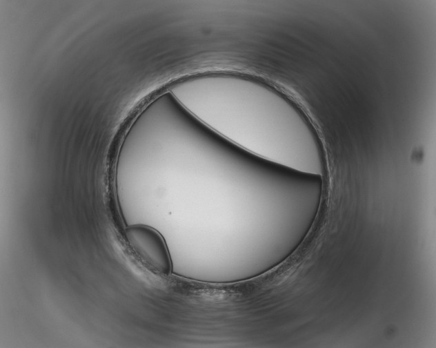 X0000116800439200912181121