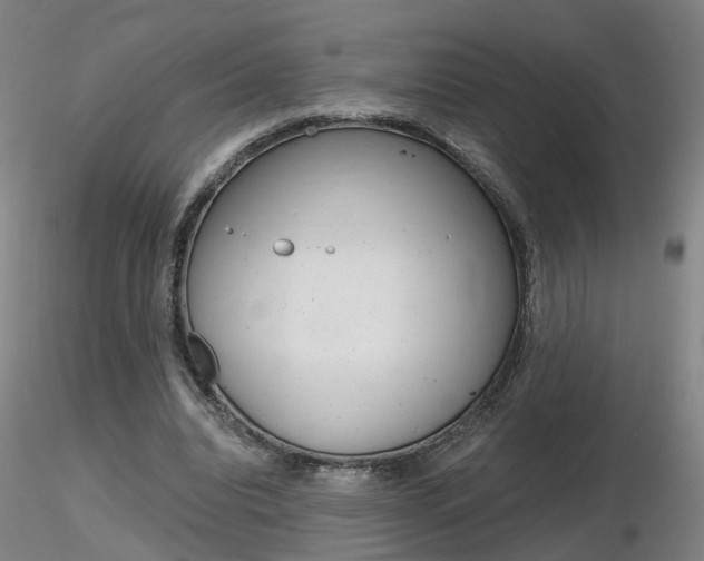 X0000116800440200912181121