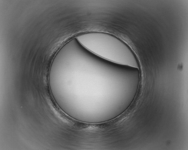 X0000116800441200912181121