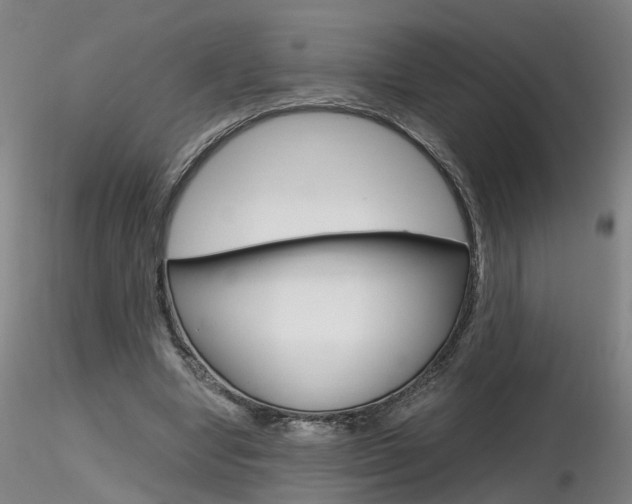 X0000116800442200912181121
