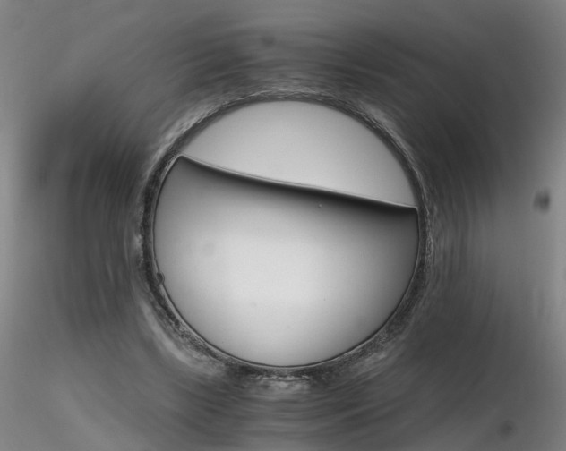 X0000116800443200912181121