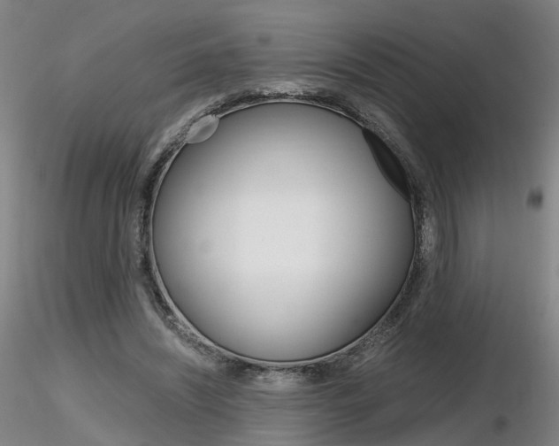 X0000116800444200912181121