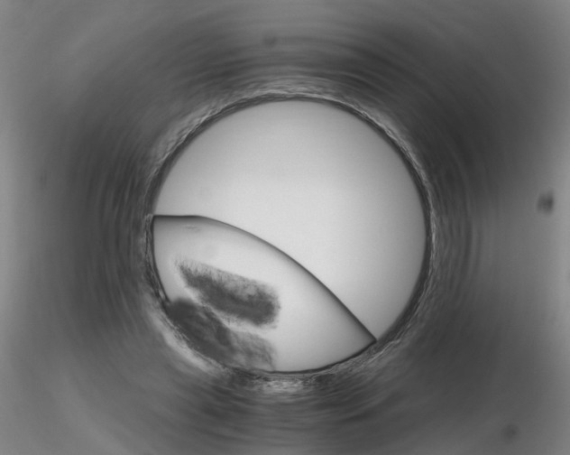 X0000116800445200912181121