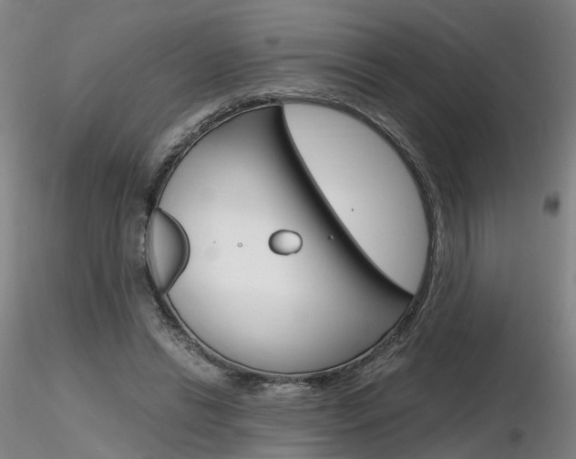 X0000116800446200912181121
