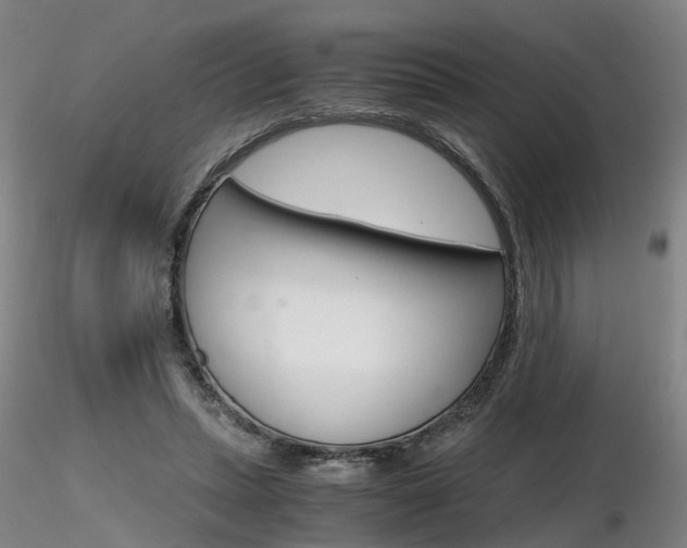 X0000116800447200912181121