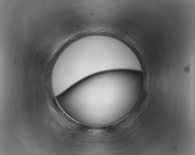 X0000116800448200912181121