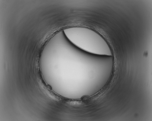 X0000116800449200912181121