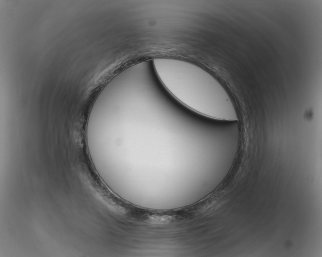 X0000116800450200912181121