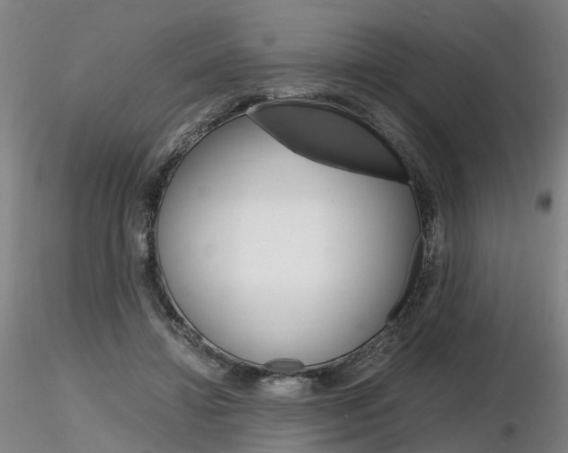 X0000116800452200912181121