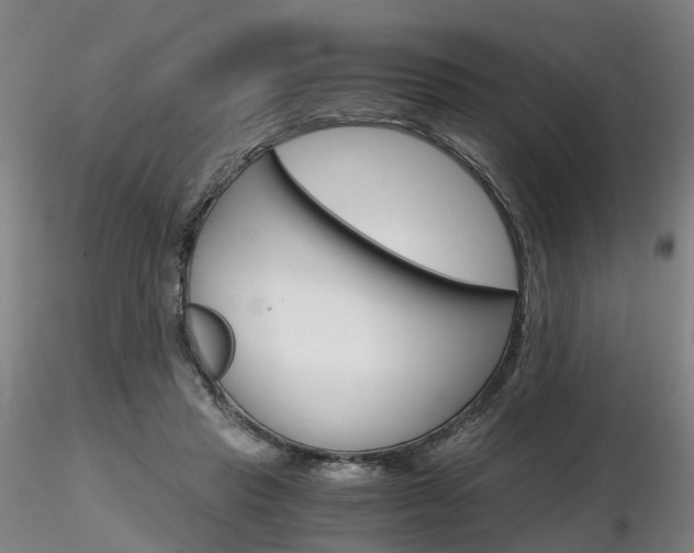X0000116800453200912181121