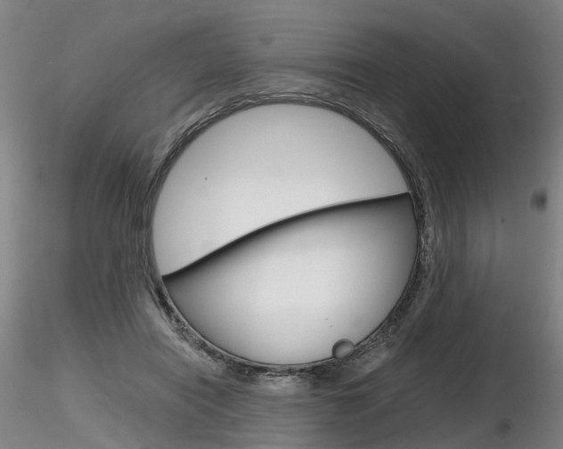 X0000116800454200912181121