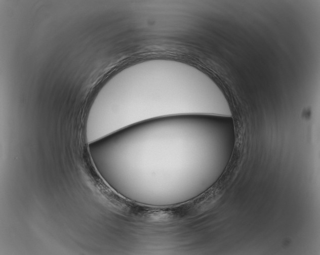 X0000116800456200912181121