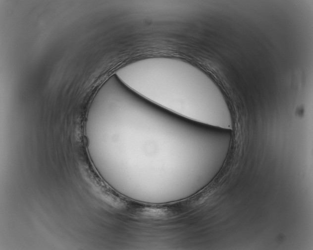 X0000116800457200912181121