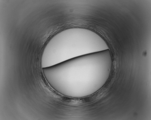 X0000116800458200912181121