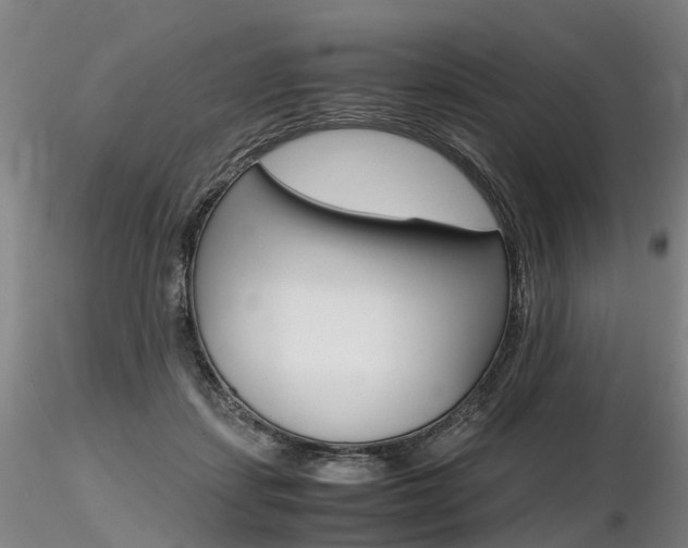 X0000116800459200912181121